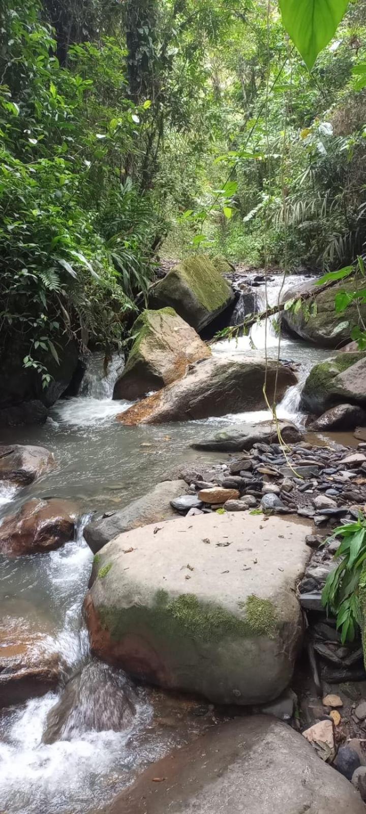 Finca Campestre San Miguelito Villa Ла Вега Екстериор снимка